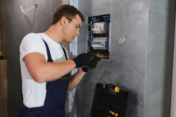 Best Electric Panel Repair  in Cocoa, FL