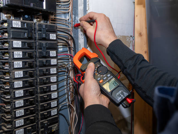 Best Electric Panel Repair  in Cocoa, FL